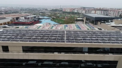 GES binlerce ağacı kurtarıyor