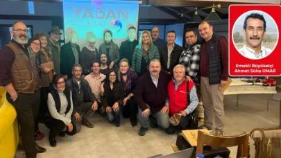 Güzel şeyler oluyor