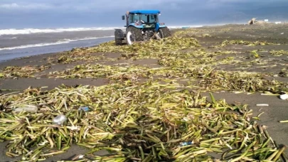 Hatay’ın deniz ve sahilleri Büyükşehir’le temizleniyor
