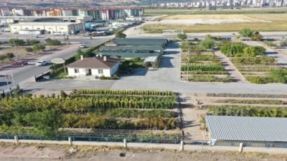 Kayseri Kocasinan en büyük fidanlığı kurdu