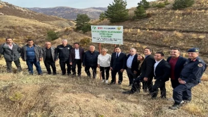 10 bin fidan karbon salınımını sıfırlayacak