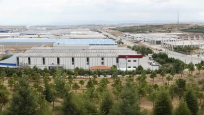 5 milyarlık yatırımla 100 milyar liralık değer