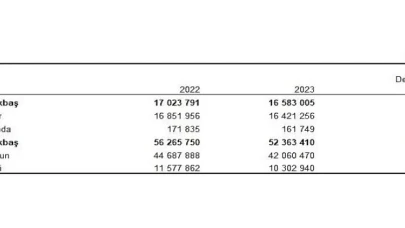 Büyükbaş hayvan sayısı bir önceki yıla göre yüzde 2,6 azalarak 16 milyon 583 bin baş oldu