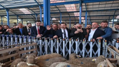 Hayvancılığa büyük destek