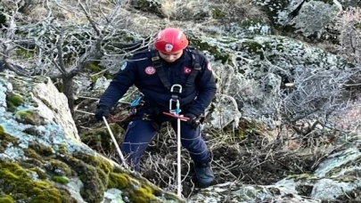 Kayseri Büyükşehir’den ’keçi’ operasyonu