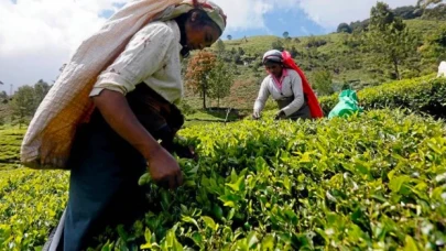 Sri Lanka, İran'a olan petrol borcunun 20 milyon dolarını çay ile ödedi