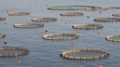 Su ürünleri yetiştiriciliğine 125,3 milyon TL’lik destek