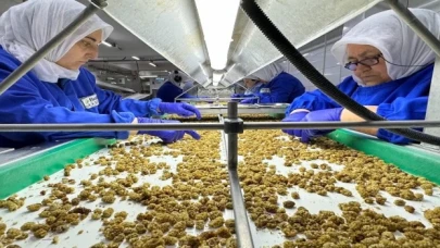 Türkiye organik ürün ihracatında sınırı aştı