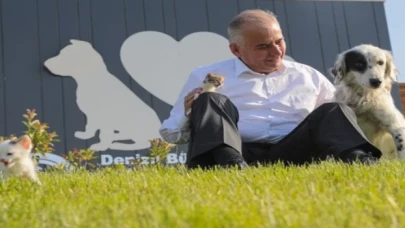 Türkiye’de bir ilk! Sokak hayvanlarıyla ilgili SMS sistemi