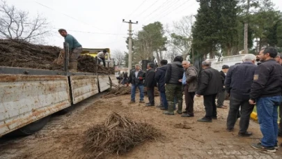 Üreticiler meyveciliğe yöneldi