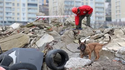 'Zeyna’dan Büyük Başarı