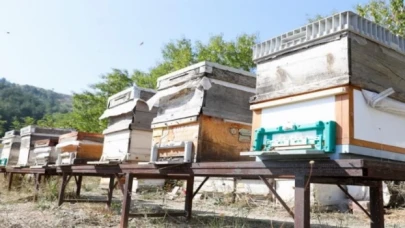 Bursa İnegöl arıcılık ve balda da marka olacak... Karaçalı’na coğrafi işaret alınacak