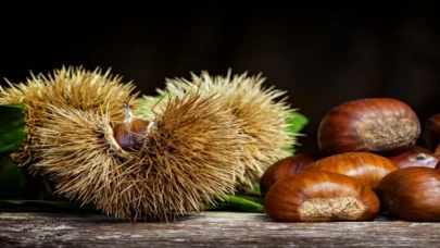 Bursa kestanesi coğrafi işaret tescili aldı