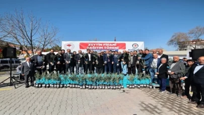 Denizli zeytinde kabuğunu kıracak