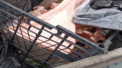 Düzce’de çöpe atılan şüpheli kemikler ekipleri harekete geçirdi