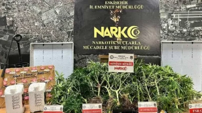 Evinde Hint keneviri yetiştiren kişi tutuklandı