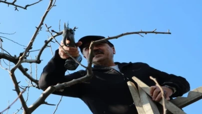 Gürsu’nun tarımına ’bağımsız’ vizyon getirecek... Şefikoğlu’nun vizyonsal tarım projeleri