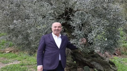 Mudanya Belediyesi’nden Tirilye Zeytini İçin Coğrafi İşaret Başvurusu 