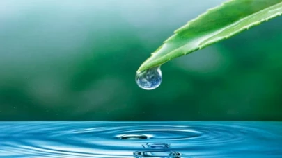 SUDER: Kaynakların korunması önemli