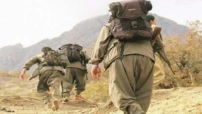 1 terörist Habur’da teslim oldu!