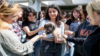 4 Nisan Dünya Sokak Hayvanları Günü PAKO’da kutlandı