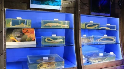 Antalya Büyükşehir Belediyesi denizciliğin  geliştirilmesi adına çalışmalarını sürdürüyor