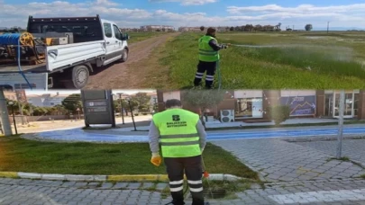 Balıkesir’de haşere alarmı