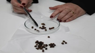 BTÜ’den bir buluş daha... Arı ekmeğinden patentli şifa ürünü