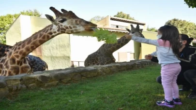 Bursa Büyükşehir’den ’hayvanat bahçesi’ açıklaması