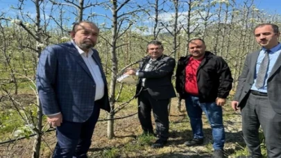 Bursa Gürsu’da armut bahçelerinde biyolojik mücadele