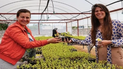 Çeşme Belediye Başkanı Lal Denizli, Ata tohumu yaygınlaştırma projesi kapsamında üreticilere fidan ve tohum desteği verdi