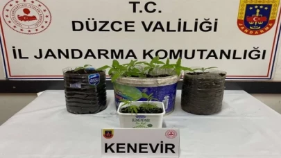 Düzce Jandarması’ndan uyuşturucu operasyonu