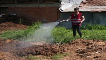 Düzce’de ilaçlama çalışmaları yeniden başladı