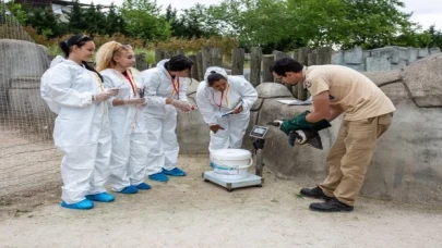 Erasmuslu öğrenciler Bursa Hayvanat Bahçesi’nde