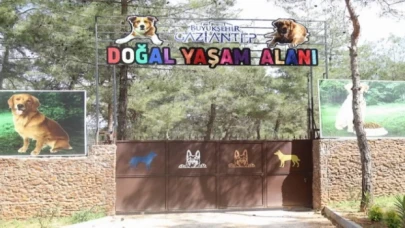 Gaziantep Büyükşehir, sokak hayvanlarına sahip çıkıyor