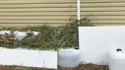 İçişleri’nden Narkoçelik-11!