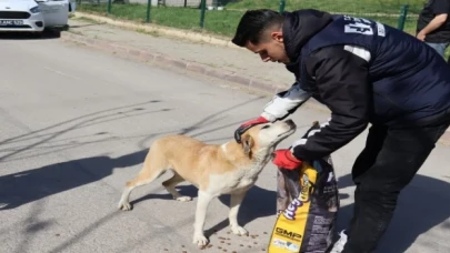 İzmit can dostlarının da yanında