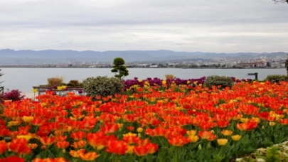 Karadeniz’in incisi Ordu