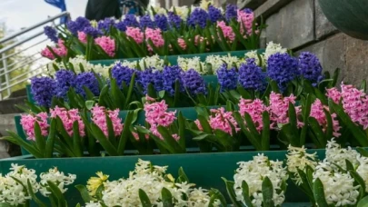 Kayseri bayrama rengarenk girdi