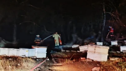 Kemer’de çıkan orman yangını büyümeden söndürüldü