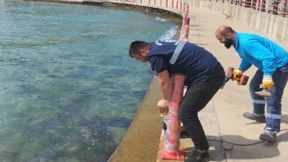 Kocaelilileri bu yaz pırıl pırıl sahiller bekliyor