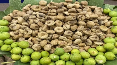 Kuru incir rotasını Kuzey Amerika’ya kırdı