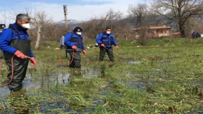Muğla’da vektörle mücadeleye devam