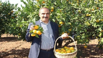 Narenciye sektörü KKTC’de görülen yeşillenme hastalığının Türkiye’ye sıçramaması için topyekûn mücadele istiyor