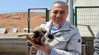 Sivas Belediye Başkanı Dr. Adem Uzun Sokak Hayvanları Bakım ve Rehabilite Merkezi’ni ziyaret etti