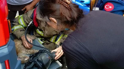 Yürekleri ısıtan kurtarma