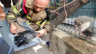 Yürekleri ısıtan kurtarma