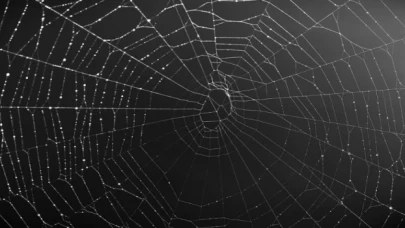 Zararlı yazılımlar kurumsaldan yüzde 53’ü veri çalıyor!