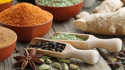 Almanya-Türkiye arasında dış ticaret hacmi 50 milyar dolara ulaştı