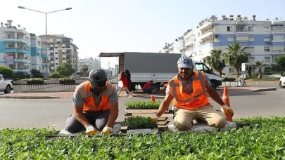 Antalya yazlık çiçeklerle rengarenk olacak